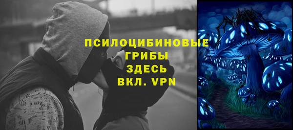 скорость Белокуриха