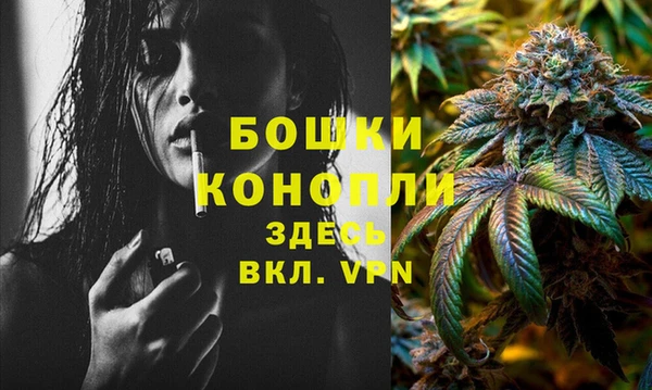 PSILOCYBIN Белоозёрский