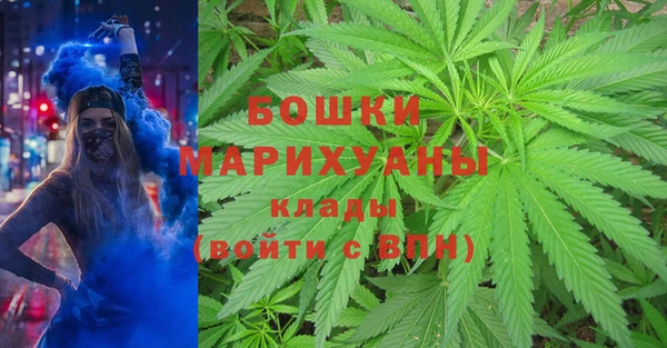 PSILOCYBIN Белоозёрский