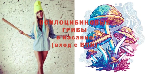 PSILOCYBIN Белоозёрский