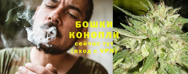 экстази Богданович
