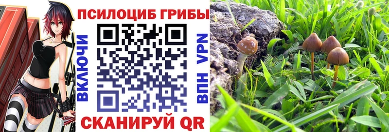 MEGA зеркало  сайты даркнета Telegram  Псилоцибиновые грибы GOLDEN TEACHER  Козьмодемьянск 