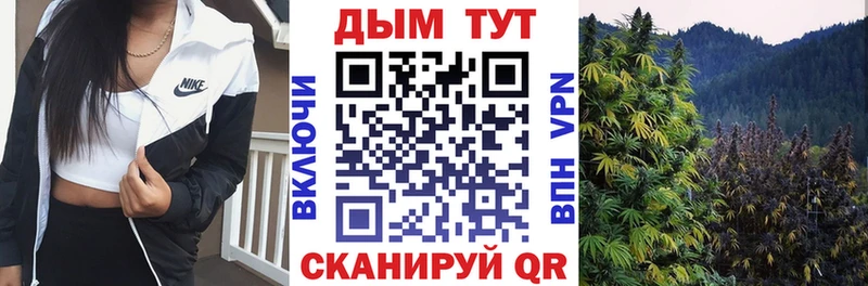 цена наркотик  Козьмодемьянск  Каннабис THC 21% 